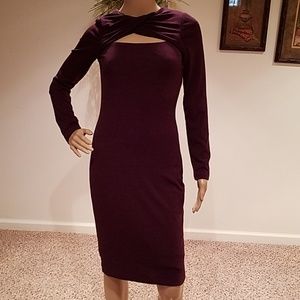 Badgley Mischka Fully Lined Stretch Purple Dress